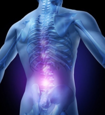 12353898-lower-back-pain-and-human-backache-with-an-upper-torso-body-skeleton-showing-the-spine-and-vertebral.jpg